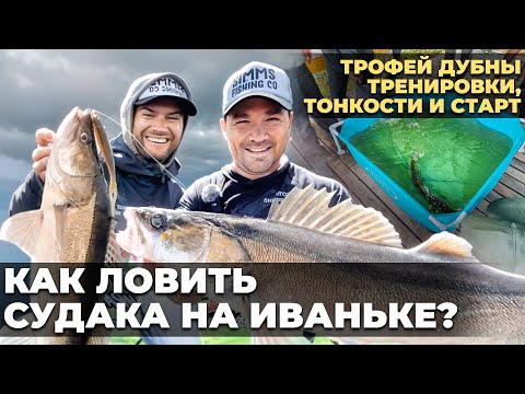 Видео: СУДАК ЗА СУДАКОМ 😱 Как ловить крупного судака на Иваньке? | Эксперт Олег | Трофей Дубны | Часть 1