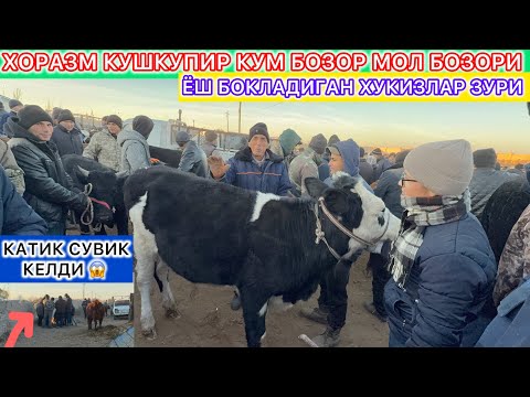 Видео: ХОРАЗМ КУШКУПИР КУМ БОЗОР МОЛ БОЗОРИ ЁШ БОКЛАДИГАН ХУКИЗЛАР ЗУРИ 5-Ноябрь 2025 г.
