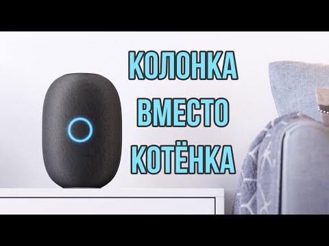 Видео: Капсула Маруся, умная колонка от MAIL.RU Распаковка, обзор и тест.