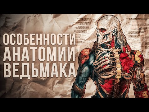 Видео: Отличия тела ведьмака от обычного человека