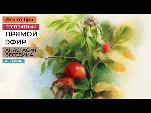 Видео: Шиповник акварелью. Бесплатный урок Анастасии Бесединой