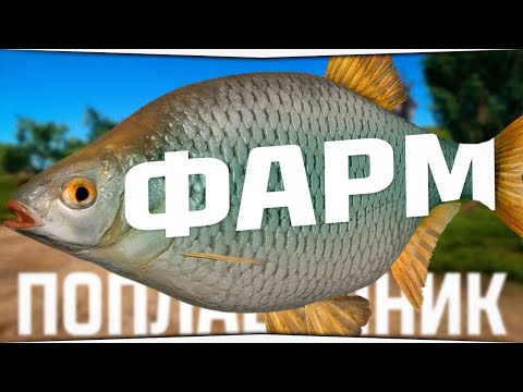 Видео: Фарм серебра на Донце • Как долго я этого ждал! • Аккаунт поплавочника #14
