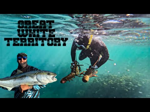 Видео: Рыбалка и дайвинг | Здесь есть всё