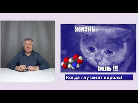 Видео: Новые механизмы боли и их коррекция.