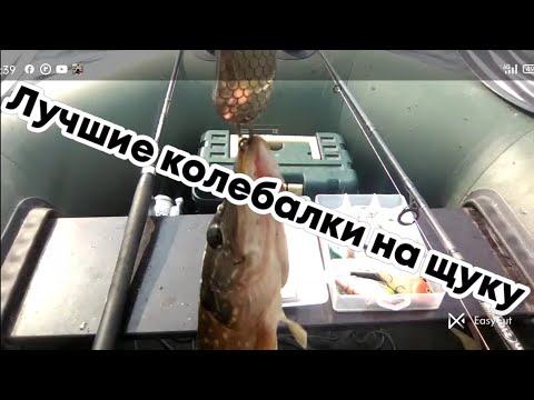 Видео: Все о блеснах новичкам . Лучшие колебалки на щуку . 