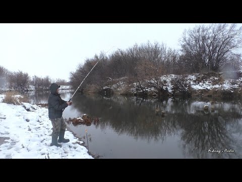 Видео: Рыбалка на налима осенью 2022. #15. Ловля налима на донки на реке в ноябре на живца. Тычки на налима