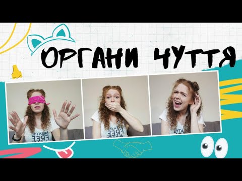 Видео: Органи чуття: очі, вуха, ніс, язик, шкіра