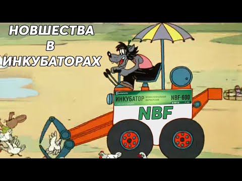 Видео: Новшества в инкубаторах NBF.