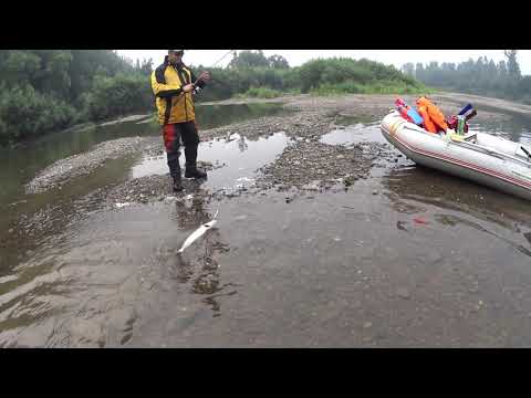 Видео: Один день на р.Тайдон. Или как высоко можно подняться на винте.