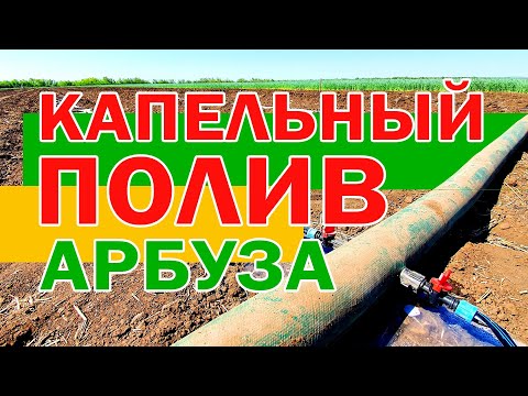 Видео: Запуск системы капельного полива 💦 🌱🍉 15 05 21