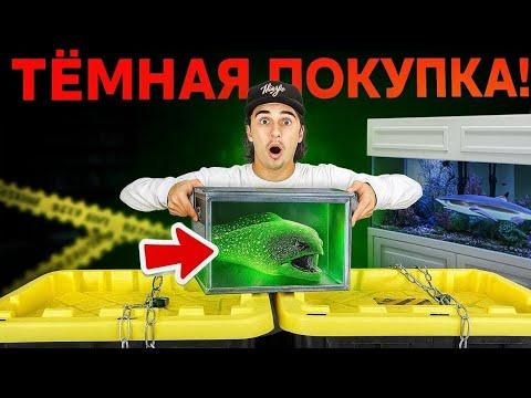 Видео: Я купил самую страшную коробку с живыми угрями в интернете