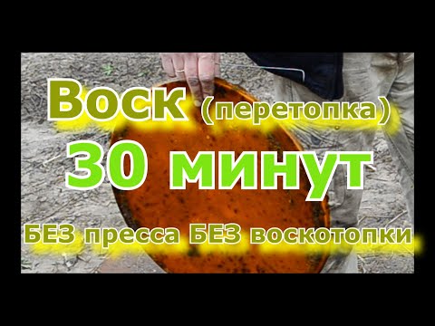 Видео: Как вытопить ВОСК из СОТ в (домашних условиях).