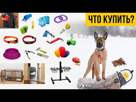 Видео: Что нужно купить для щенка в первую очередь.