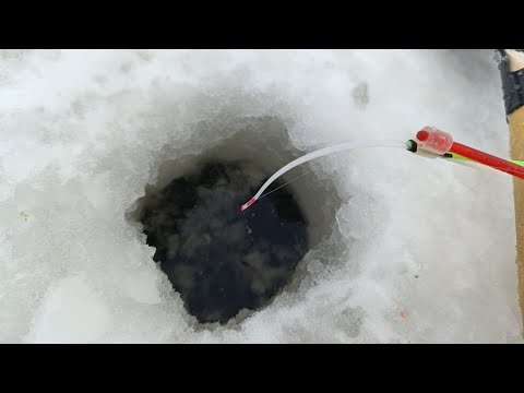 Видео: Второй, первый лёд 2025-2026.