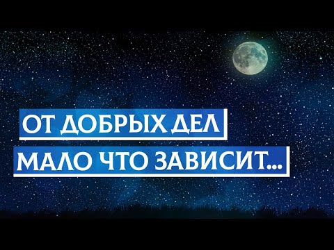 Видео: От добрых дел мало что зависит... | Раввин Михаил Финкель