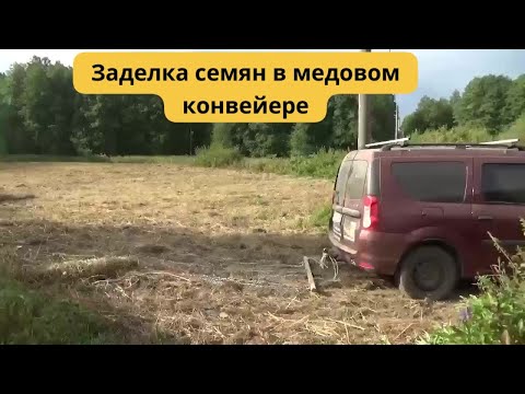 Видео: Заделка семян Ладой-Ларгус. Медовый конвейер в действии.