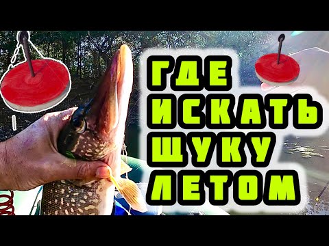 Видео: Ловля щуки на кружки летом. Где искать щуку на водоеме. Куда ставить кружки на щуку