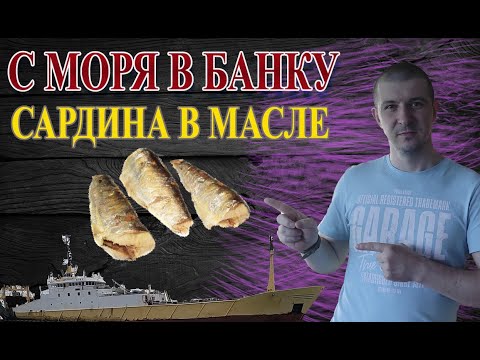 Видео: САРДИНА В МАСЛЕ / Консервы №1 БЫСТРО И ВКУСНО
