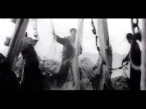 Видео: Звезда рыбака