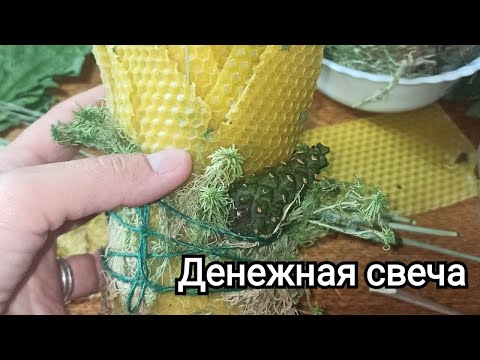 Видео: Свеча "Лесная 🌿 сказка" денежная свеча