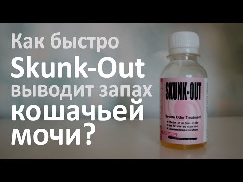 Видео: Как избавиться от запаха кошачьей мочи на ткани? Испытываем Skunk-Out.