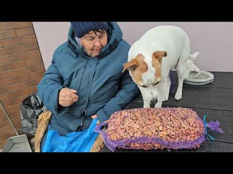 Видео: Забыли за сушку,замеры сделали!