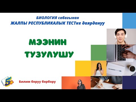 Видео: МЭЭ. МЭЭНИН ТУЗУЛУШУ. ЖРТга даярдык