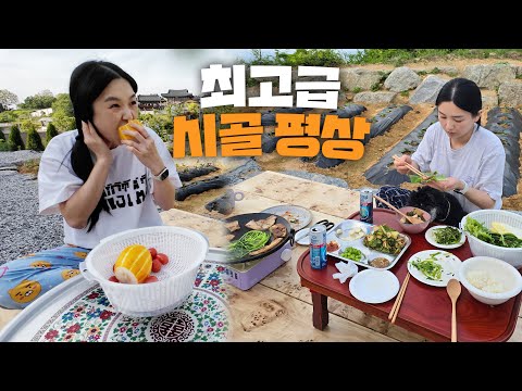 Видео: Мы сделали дачную скамейку высшего качества! Привлекательное качество😵