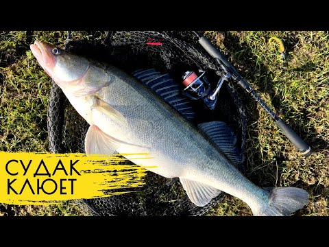 Видео: СУДАК В МАРТЕ! СЕКРЕТЫ ЛОВЛИ НА ДЖИГ!