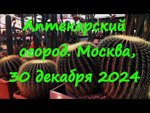 Видео: Аптекарский огород. Москва, 30 декабря 2024.