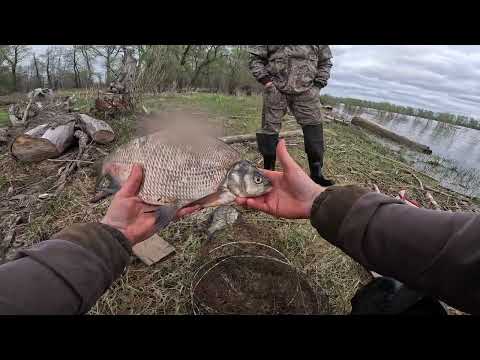 Видео: ЛЕЩИ АТАКОВАЛИ НАШИ ФИТИЛИ. ОГРОМНЫЕ ЛАПТИ. Проверка фитилей. День леща)