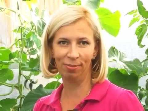 Видео: БИО комплекс суспензия хлореллы, сапропель, биогумат, гумификатор