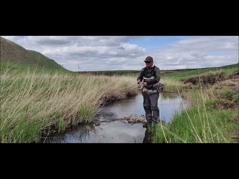 Видео: Азбука мормышинга. "Е" - елец.