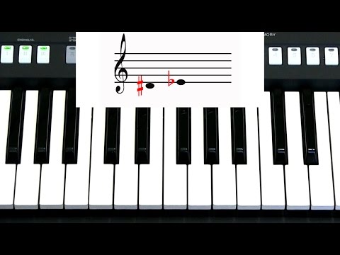 Видео: Самоучитель игры на синтезаторе. Урок 6. Тон. Полутон. Знаки альтерации.