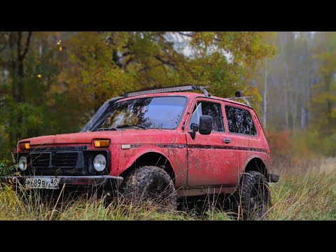 Видео: Offroad как отдых. На ниве по лесовозным колеям. Осененний лес 2021.