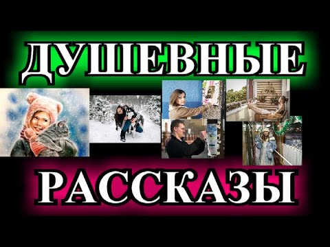 Видео: ДУШЕВНЫЕ    РАССКАЗЫ❤️ВЫХОДИ ЗА МЕНЯ ЗАМУЖ❤️НОВОГОДНЯЯ ПОТЕРЯШКА❤️БУДУ СЧАСТЛИВОЙ @TEFI РАССКАЗЫ