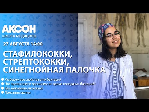 Видео: Стафилококки (продолжение) и синегнойная палочка