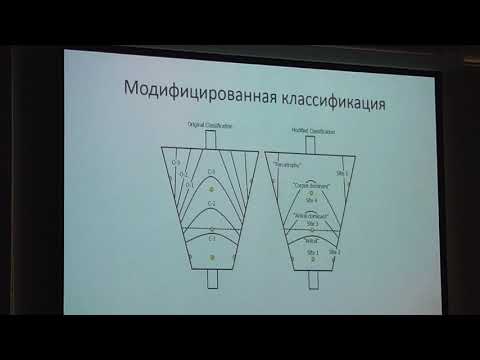Видео: 59 Агапов МЮ Атрофический гастрит, кишечная метаплазия и дисплазия взгляд эндоскописта