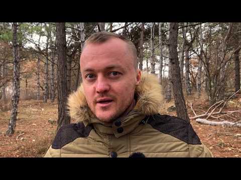 Видео: Как я был вегетарианцем, веганом, фруктоедом и почему снова стал есть мясо и любую еду?