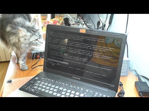 Видео: Не загружается Windows / Ноутбук HP Compaq Presario CQ61