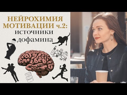 Видео: НЕЙРОХИМИЯ МОТИВАЦИИ 2: Источники дофамина. Как полюбить спорт.