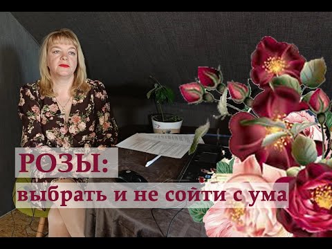 Видео: Как выбрать розы для сада и не сойти с ума! Группы, селекция, мода, советы по подбору.