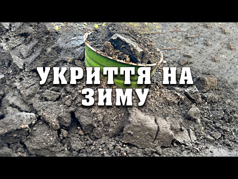 Видео: Укриття винограду на зиму. Надійний захист ваших кущів від морозів