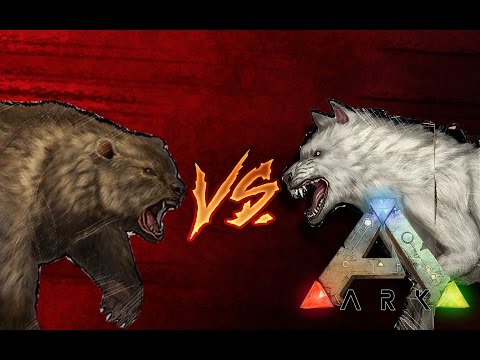 Видео: Битва в ARK Survival Evolved|Direwolf vs DireBear|Лютволк против Свирепого медведя
