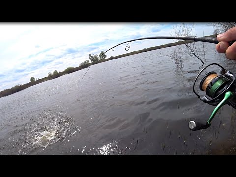 Видео: Ловля щуки на спиннинг ! Рыбалка на спиннинг с берега !