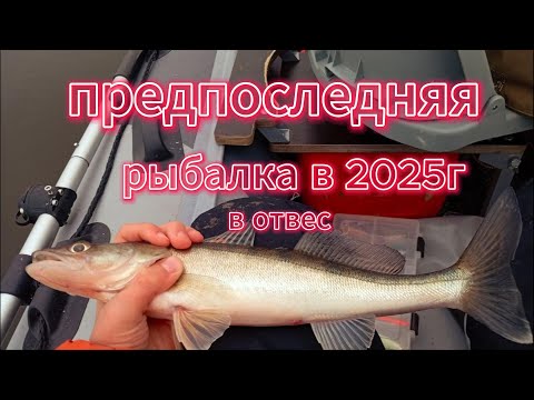 Видео: Предпоследняя рыбалка по жидкой воде в 2025 году,неплохая рыбалка но трудовая