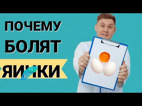 Видео: Почему болят яички