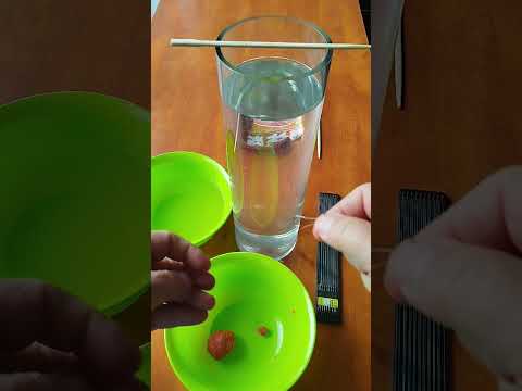 Видео: #herabuna #Тісто херабуна. Як це працює.