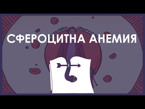 Видео: Хематология | Сфероцитна анемия