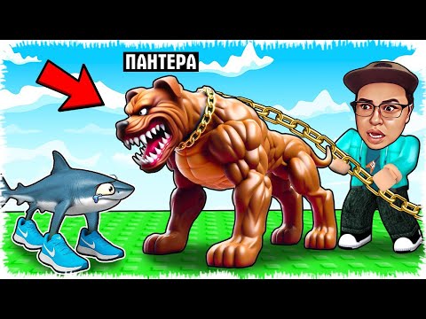 Видео: Иттерді качок қылып төбелестіреміз | Менің итім талап тастады!
